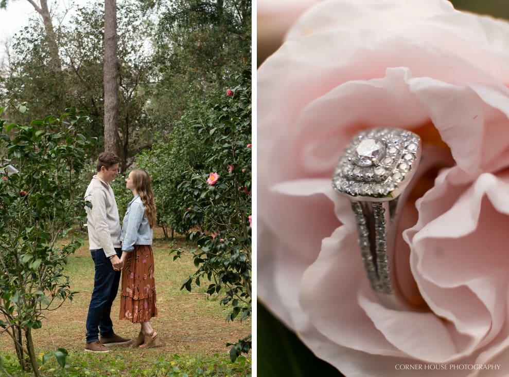 Mead Gardens Engagement