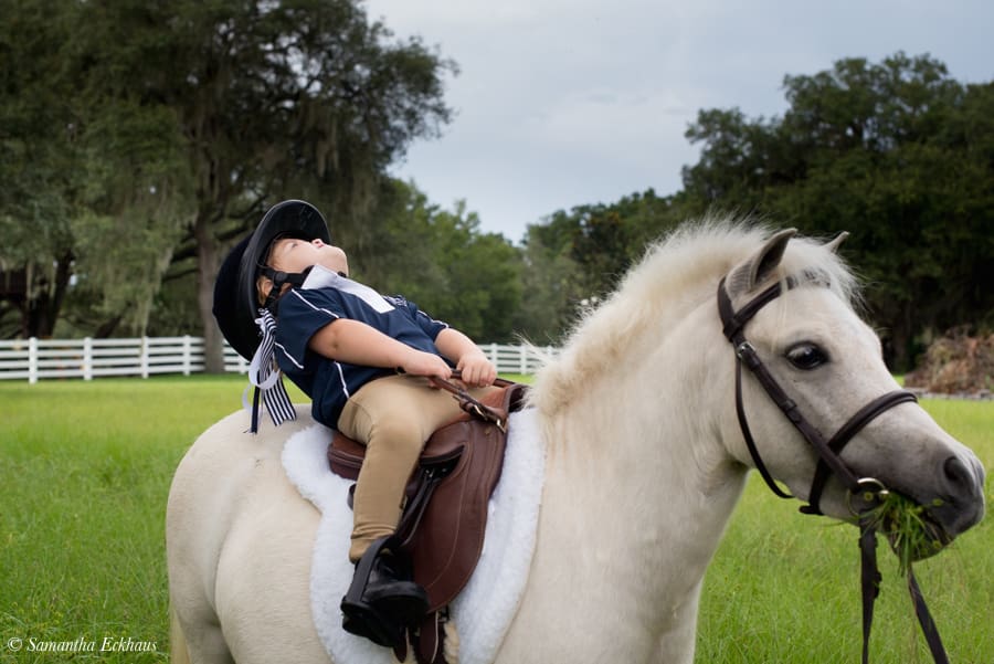 Orlando Pony Portraits 