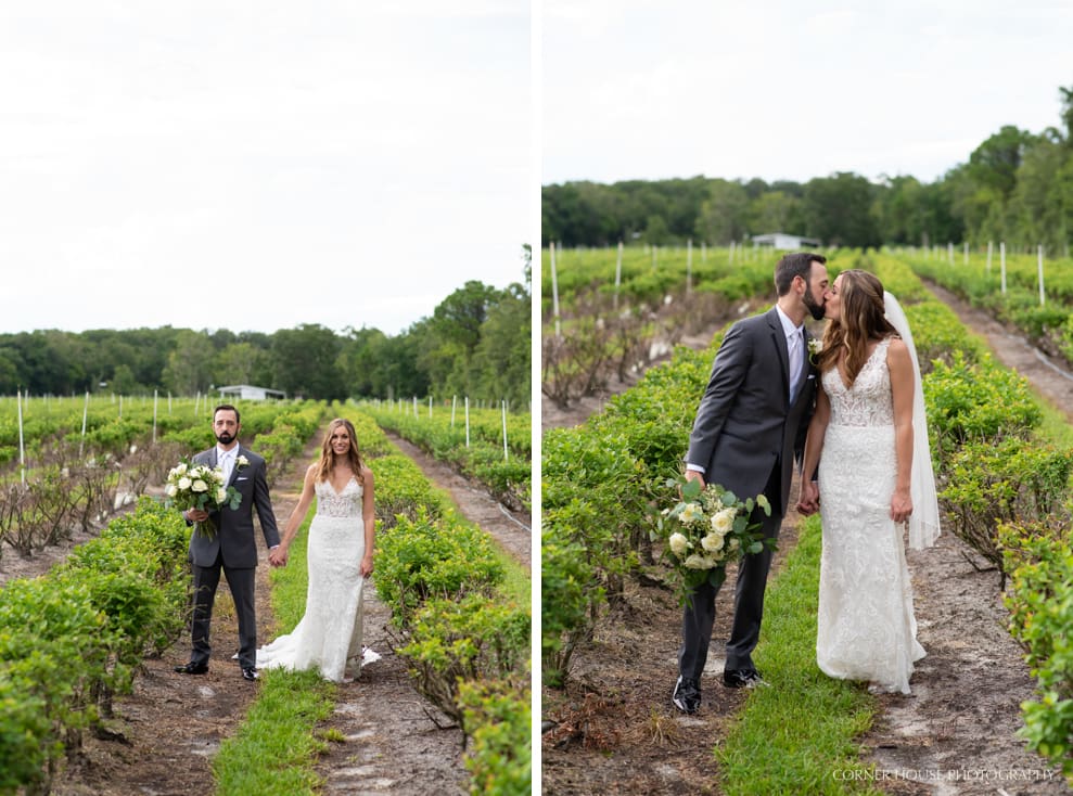 Ever After Farms Wedding Blueberry