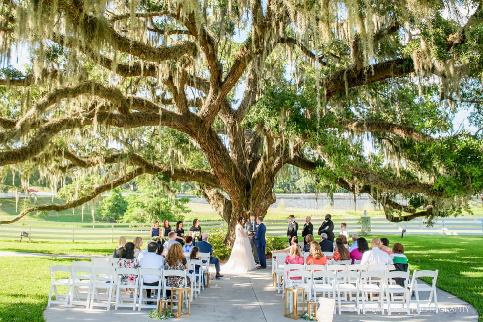 The-Highland-Manor-Wedding